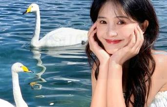 在51cg10app上，我的‘吃瓜’技能飞速升级，天哪，真有人能赢我？