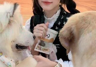 “51黑料”的独家线路，带你走进幕后！只想看个热闹嘛，是气氛真不错！