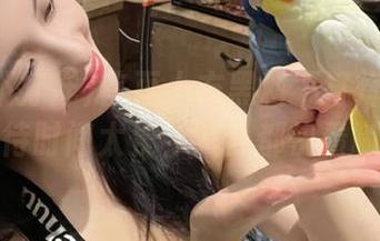 首页上方黑料不打烊传送门的等待时间太长，八卦都快看腻了。