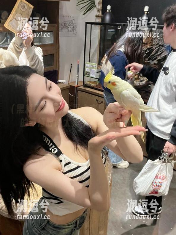 首页上方黑料不打烊传送门的等待时间太长，八卦都快看腻了。-润逗兮