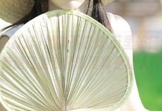 黑料不打烊,万里长征最新更新，传送门的变化幅度真是让人咋舌？