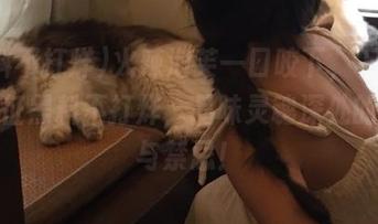 火辣泡芙一口咬下，下载万篇长征黑料不打烊，品味灵魂深处的美味与禁忌！